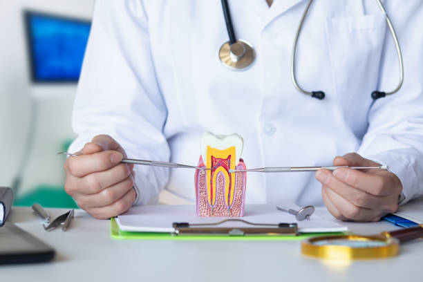 Best Chipped Tooth Repair Near Me  in Malden, MO